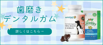 口・歯のケア